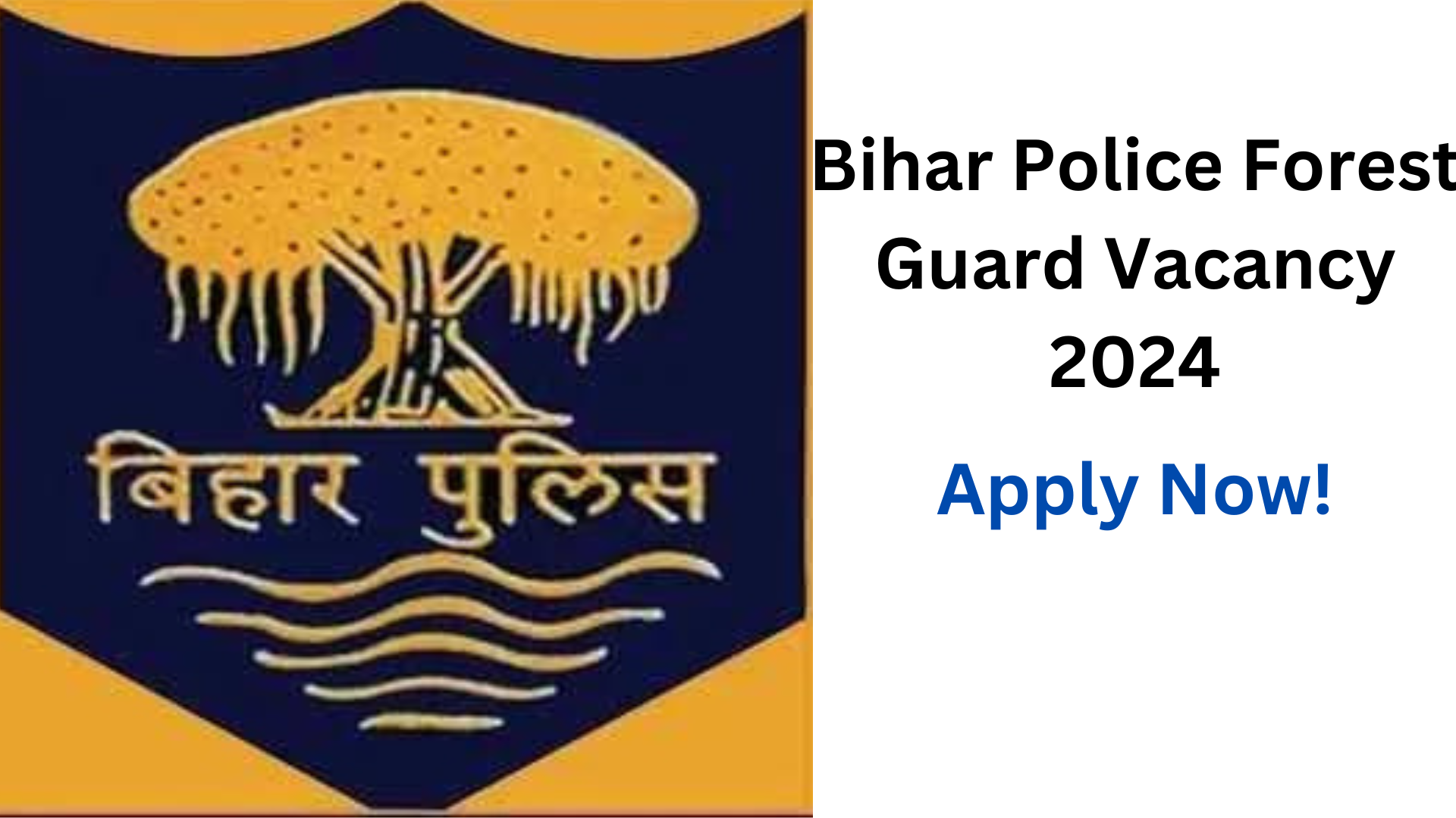 Bihar Police Forest Guard Vacancy 2024, Apply Now, Salary Up To 69,100, Check Latest Vacancy, Eligibility Criteria and More