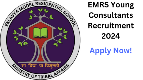 EMRS Young Consultants Recruitment 2024, Apply Now, Salary Up To 50,000, Eligibility Criteria, and More