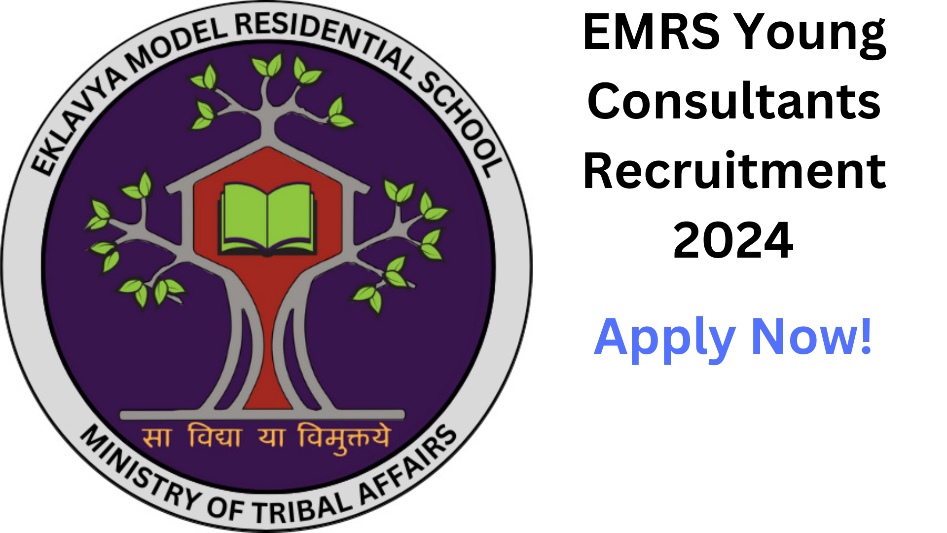 EMRS Young Consultants Recruitment 2024, Apply Now, Salary Up To 50,000, Eligibility Criteria, and More