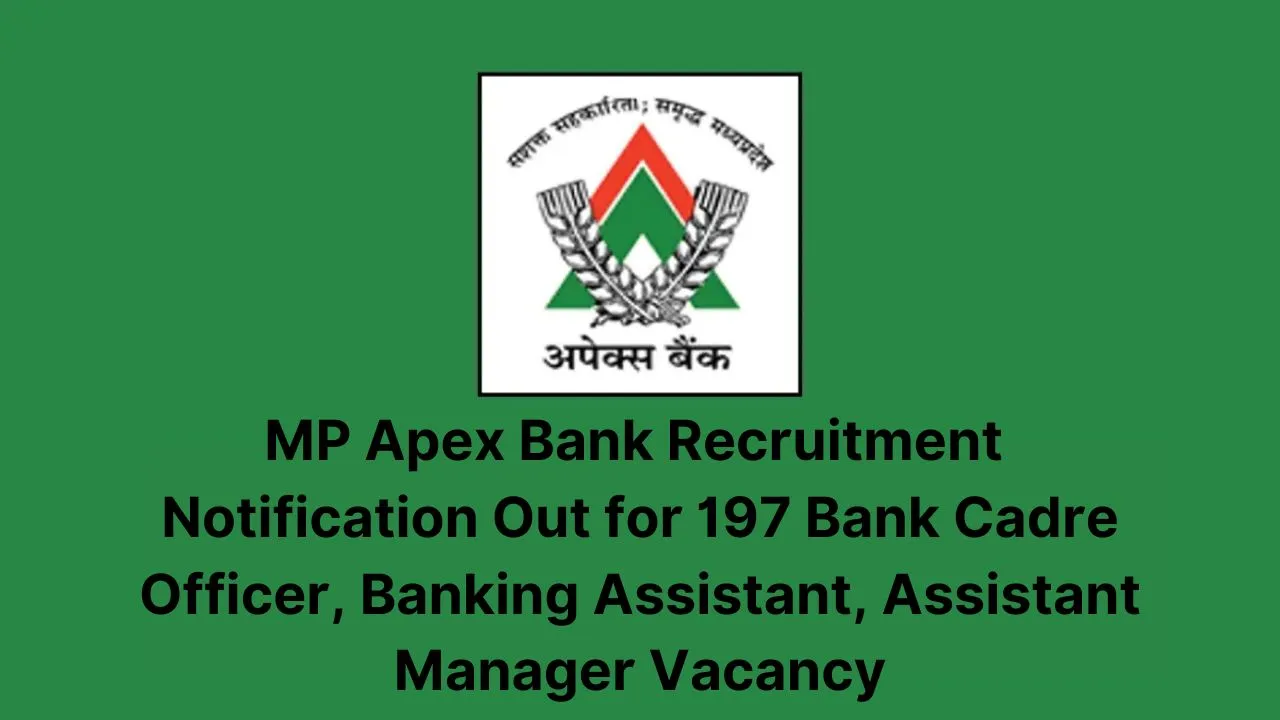 MP Apex Bank Recruitment 2024