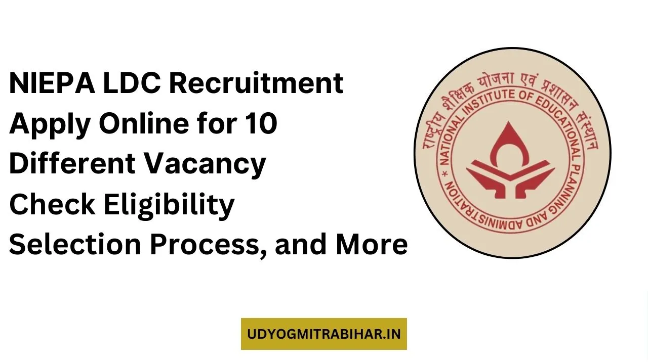 NIEPA LDC Recruitment 2024, Apply Now, Check Eligibility Criteria, Salary, and More