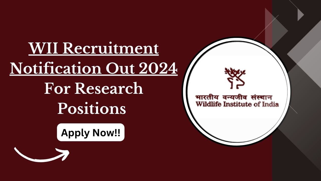 WII Recruitment 2024: Apply for Research Positions – Eligibility, Salary, and Application Process