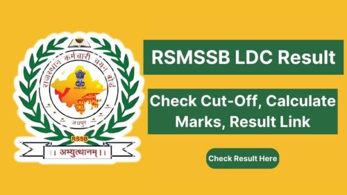 RSMSSB LDC Result 2024 (Releasing Soon) | Check Cut-Off, Calculate Marks, Result Link, and Selection Process