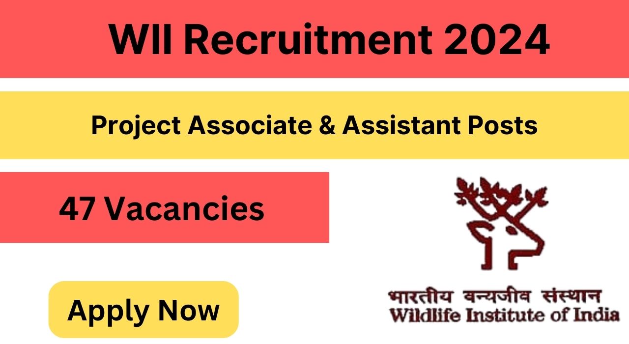 WII Project Associate & Assistant Recruitment 2024, Check Eligibility Criteria, Application Process, Selection Process