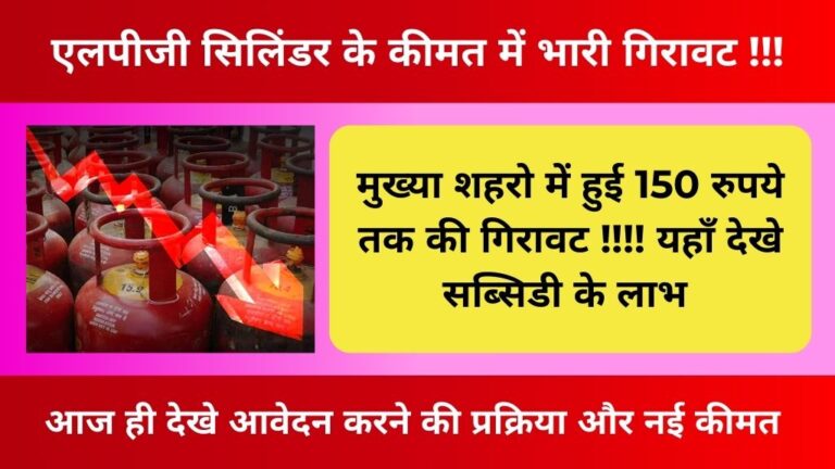 अब सिर्फ 450 रूपये मे मिलेगा रसोई गैस सिलेंडर, ऐसे करे आवेदन, Gas Cylinder Price Decrease 2024