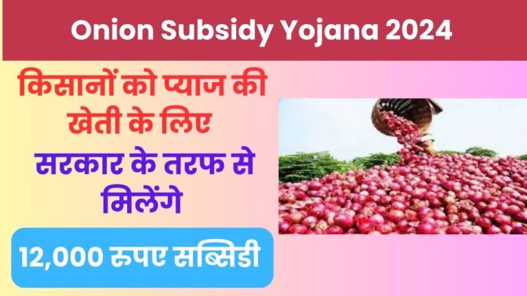 Onion Subsidy Yojana: प्याज की खेती पर 12,000 रूपए तक की सब्सिडी, किसानों के लिए सरकार के तरफ से बड़ी वित्तीय सहायता