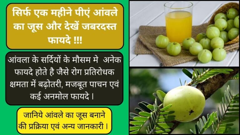 Amla Health Benefits: बस 1 महीने तक पीये आंवले का जूस और देखीं अपने शरीर में सकारात्मक बदलाव! जाने इसके विशेष फायदे , बनाने की प्रक्रिया एवं अन्य आवश्यक जानकारी